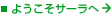 �悤�����T�[����