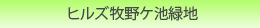 �q���Y�q��P�r�Βn