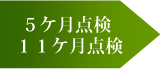 5�P���_���E11�P���_��