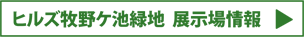 �q���Y�q��P�r�Βn  �W������